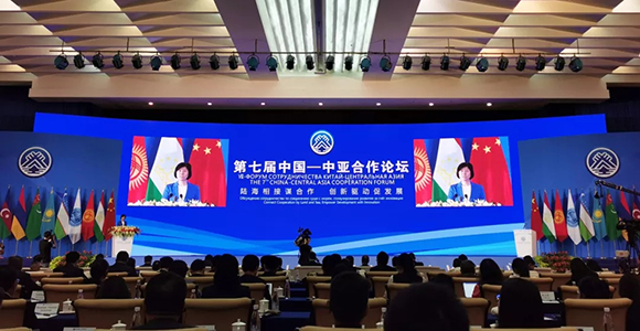 抖圈(中国区)人生就是搏!